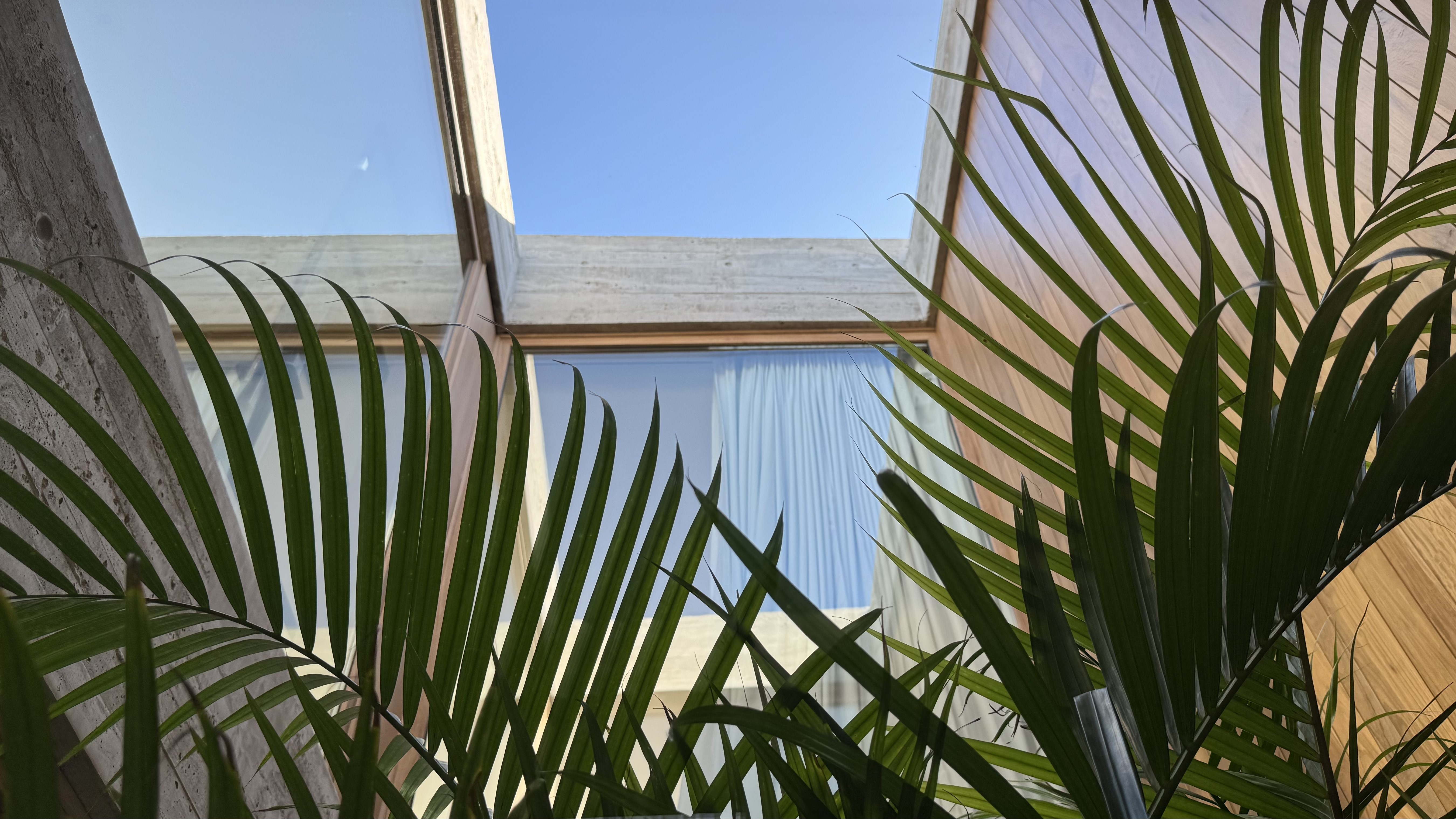 Casa MHN - Imagen