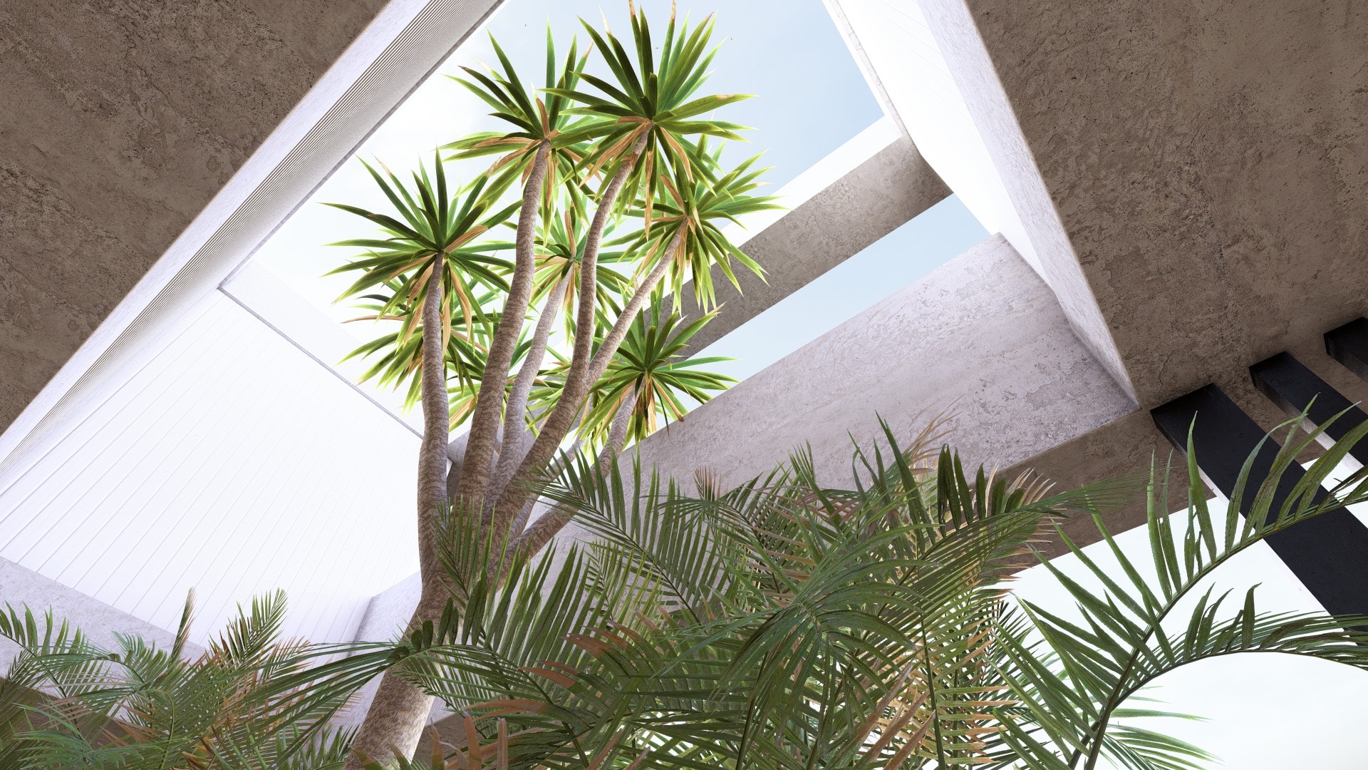 Casa TL - Imagen